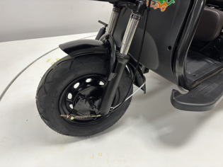 Трицикл GreenCamel Фродо SZBO (48V/60V 1000W R8) дифференциал