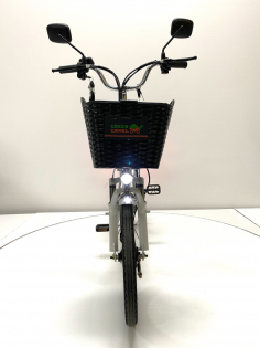 Электровелосипед GreenCamel Транк 20 V8 спицы (R20 500W 60V10Ah)