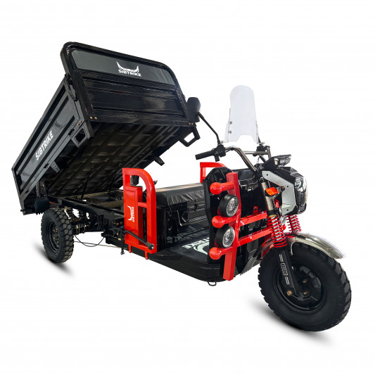 Грузовой электротрицикл SIBTRIKE PRO CARGO 3000W