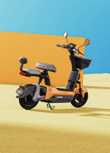 Электроскутер Ninebot V30C