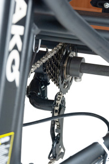 Электровелосипед Minako Trike