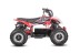 Электроквадроцикл White Siberia Sneg Leto R, красный