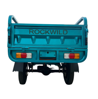 Грузовой электротрицикл Rockwild Cargo C6