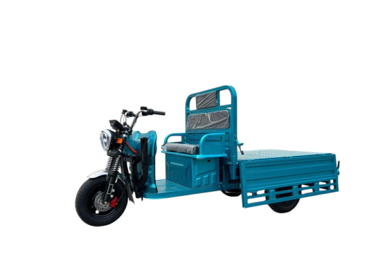 Грузовой электротрицикл Rockwild Cargo Pro Q05