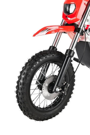 Электромотоцикл WHITE SIBERIA SOCHI 1300W, красный